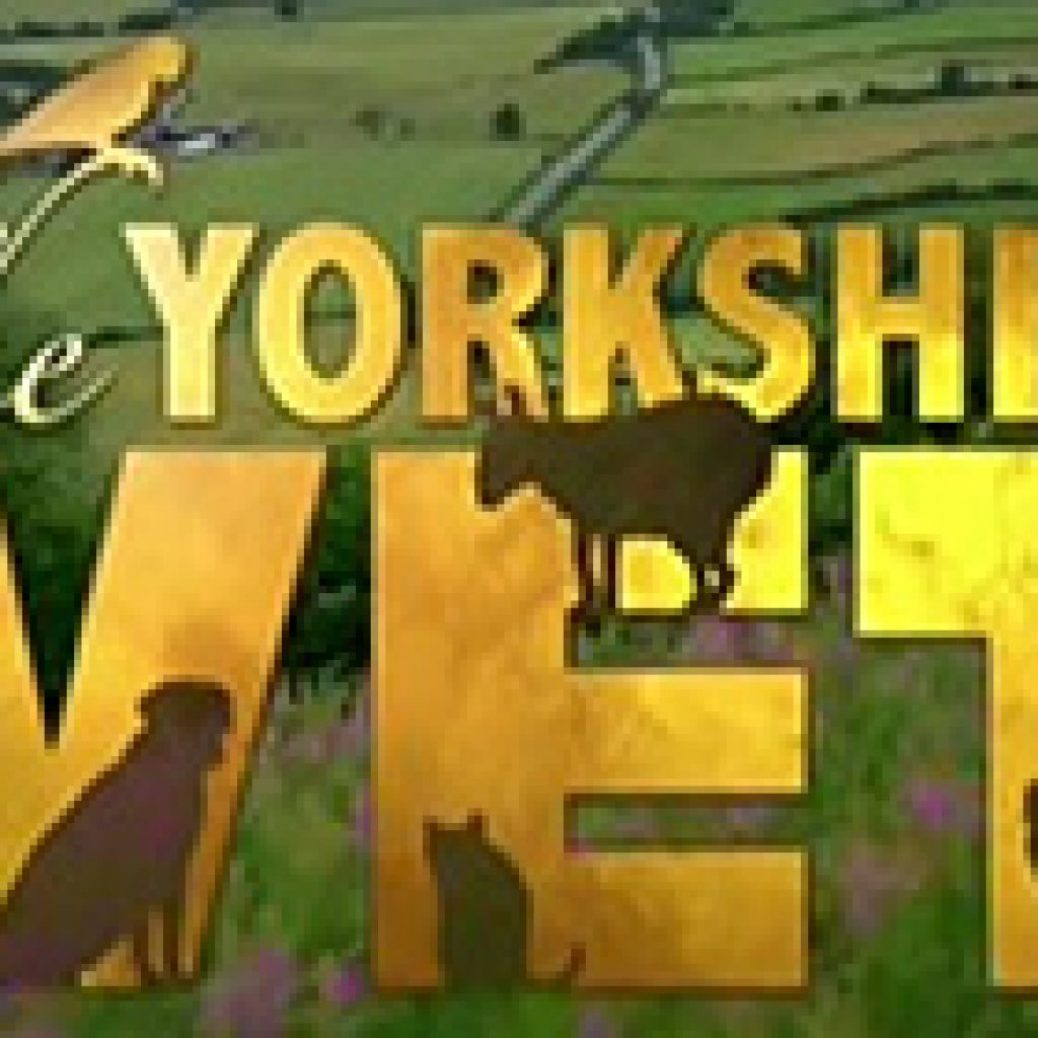 93a7The-Yorkshire-Vet